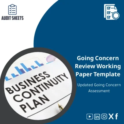 Professional Going Concern Review working paper layout showing structured sections for assessing entity continuity within the audit file.