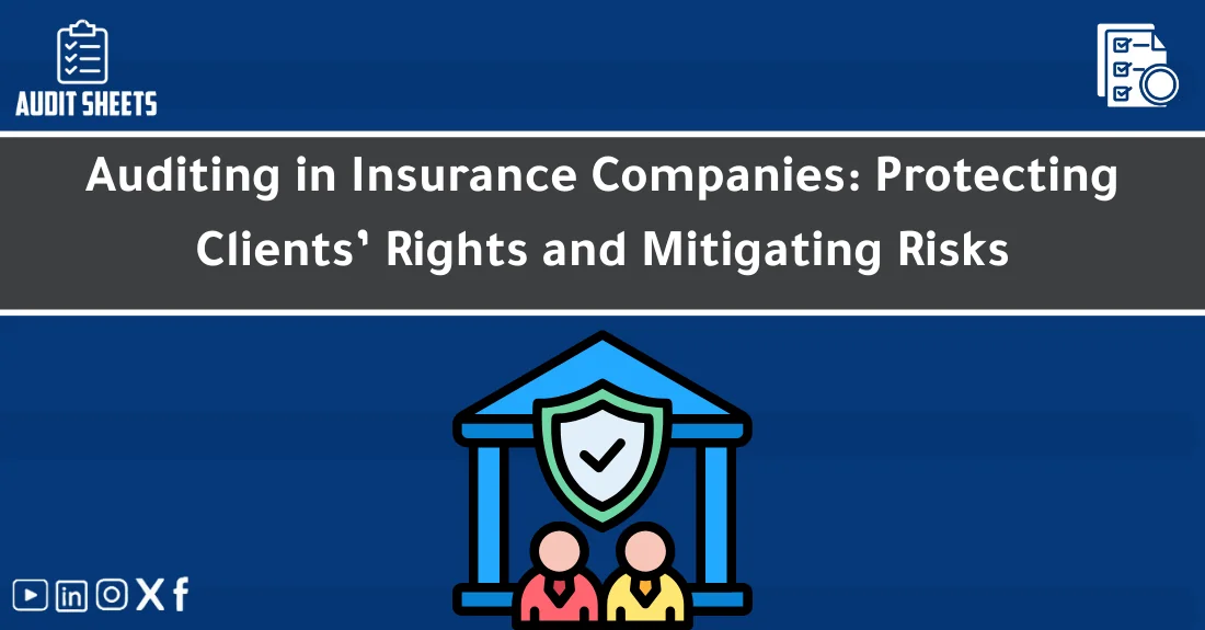 صورة تحتوي على عنوان المقال حول: " Insurance Audit for Consumers & Risk Control" مع عنصر بصري معبر