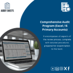 detailed-audit-program